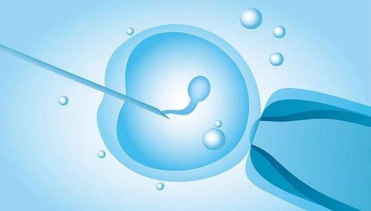 试管婴儿的胚胎移植时间是由什么因素来决定?