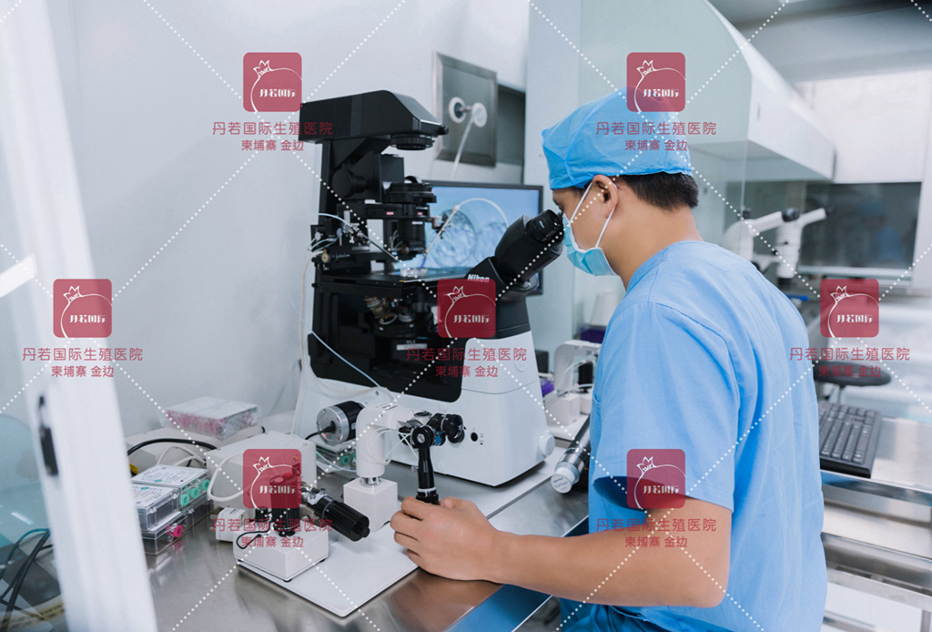 丹若国际生殖医院胚胎实验室-彭文林院长在亲自操作